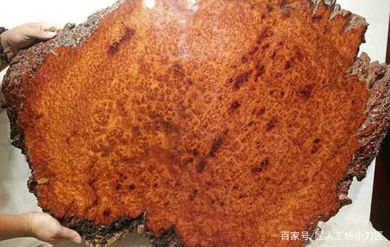 树木生病长出的木瘤，竟是刀具圈的宝贝，上等刀柄材料_百科TA说