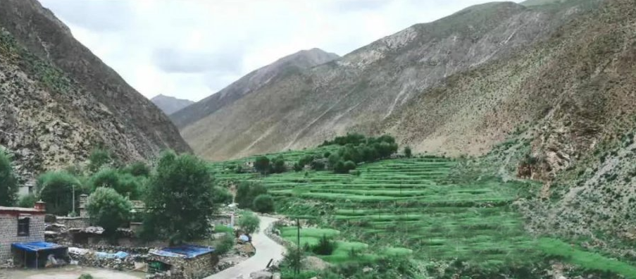 隶属于西藏自治区拉萨市 a target="_blank" href="/item/尼木县