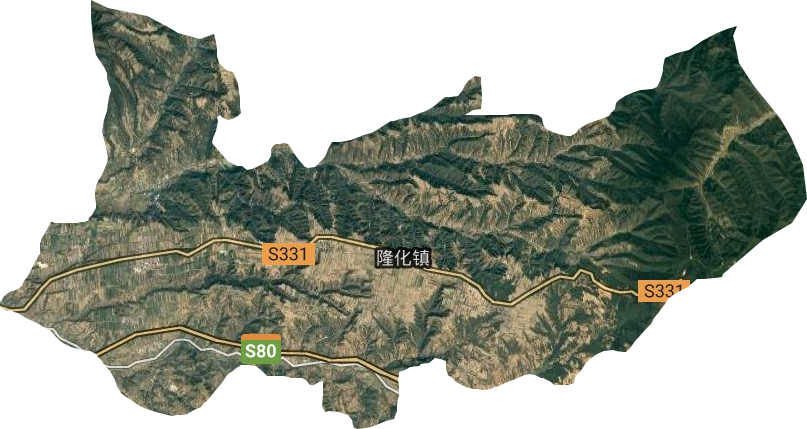 隆化镇
