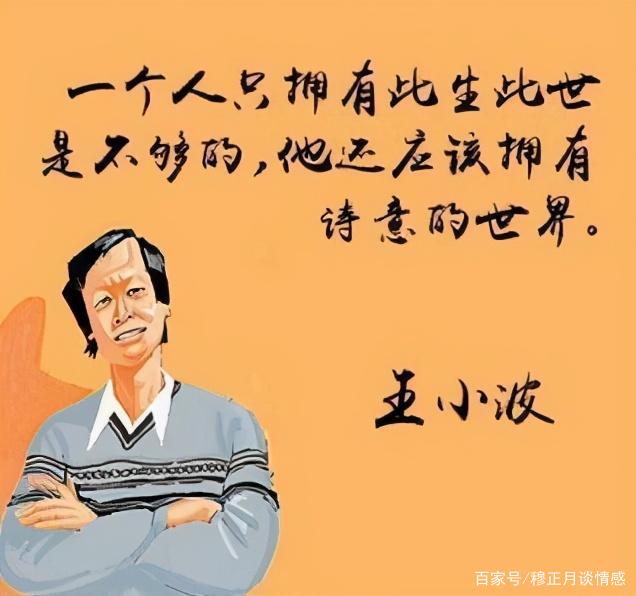 王小波：40岁转行当作家，他的书被高晓松高度赞誉鲁豫强烈推荐_百科TA说