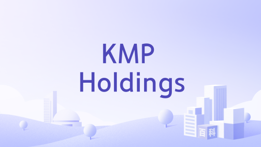 KMP Holdings_百度百科
