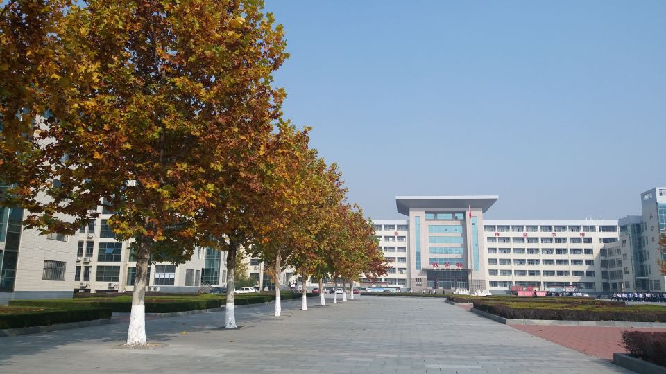  p data-id="gnc0tx4sh6">新泰一中北校是新泰市政府1.