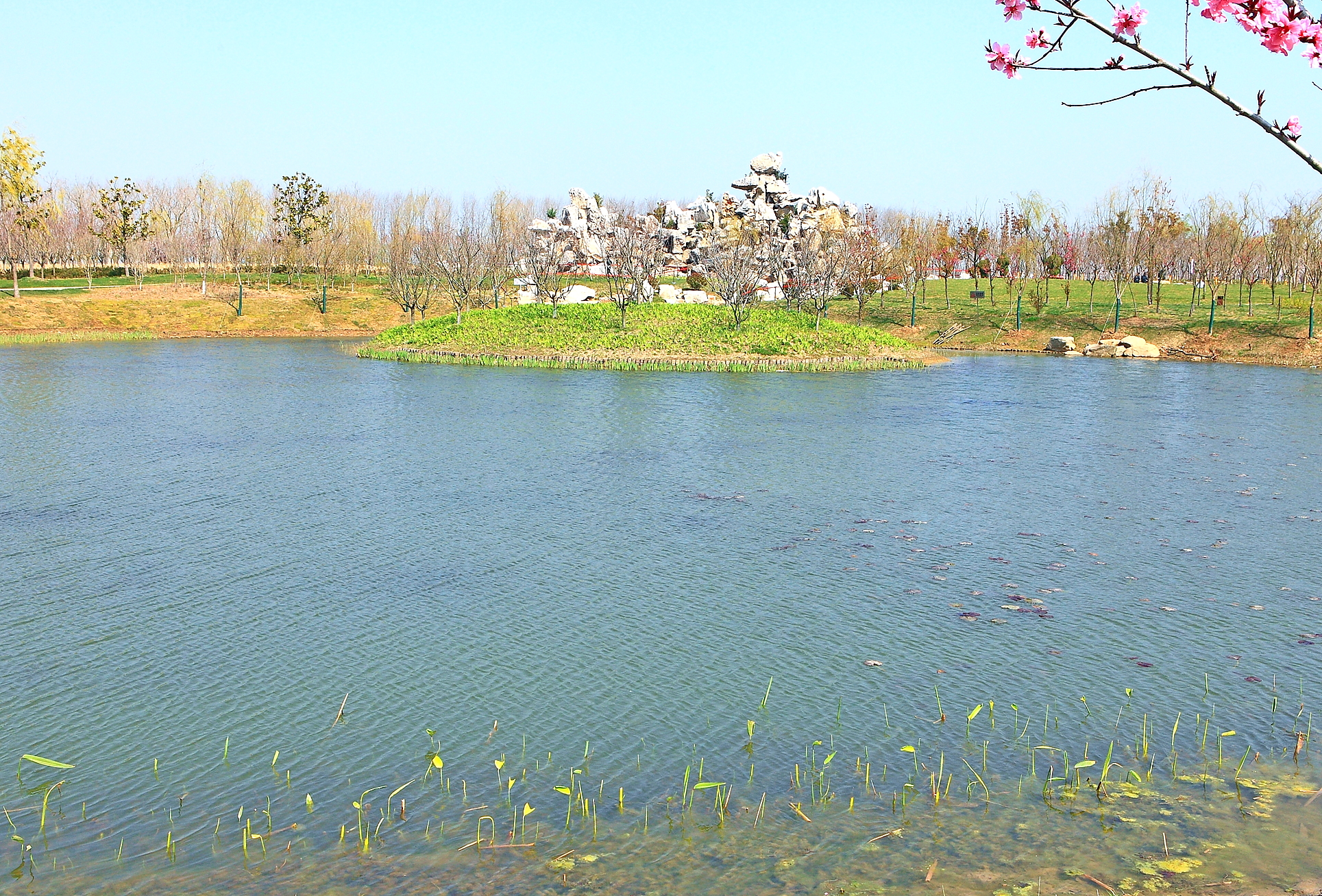 大洋湾生态运动公园