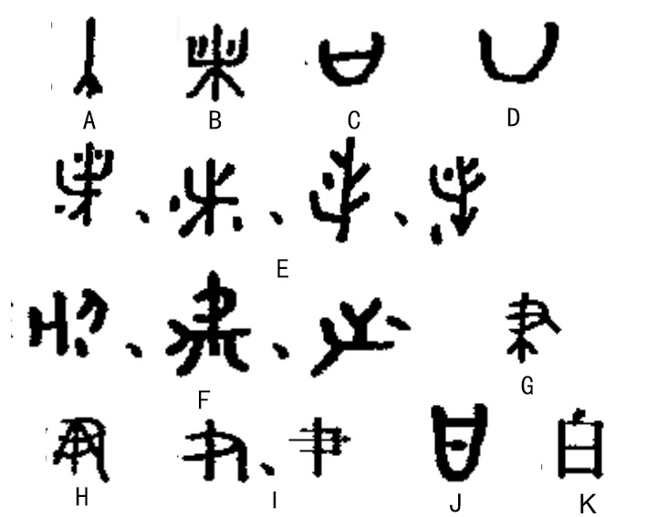 最早见于甲骨文 .