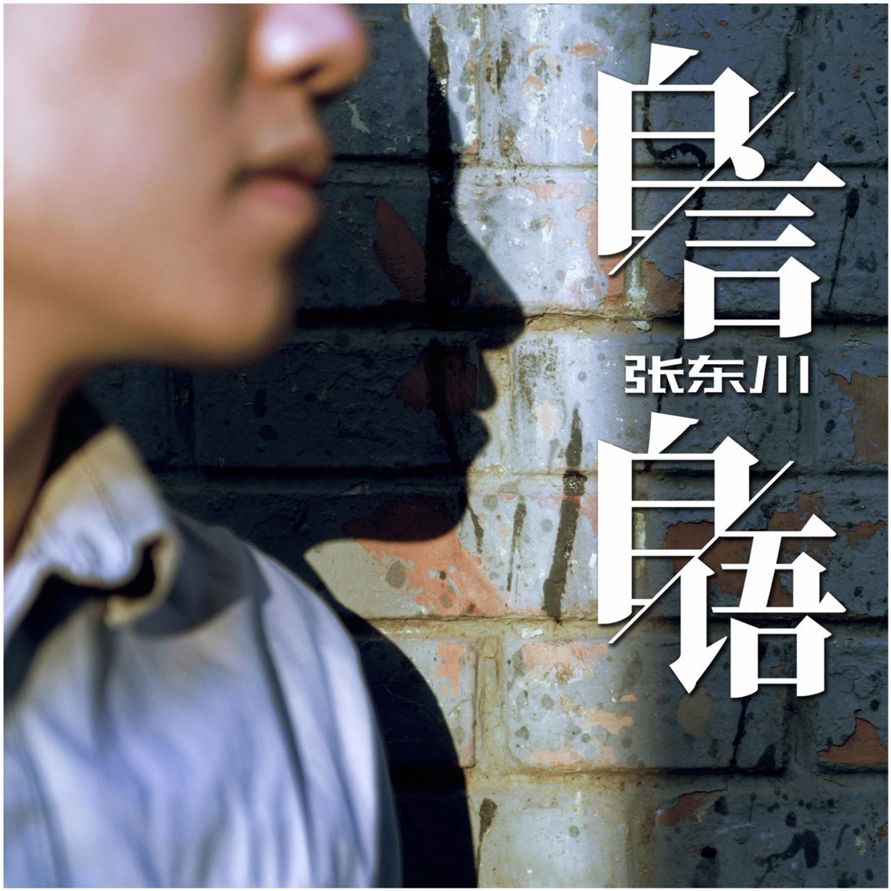 lemmaid="1828820">音乐人张东川作词作曲