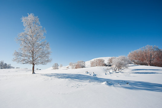 雪原 汉语 百度百科