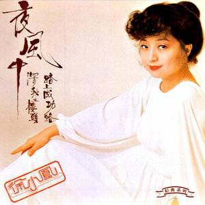 夜风中（徐小凤演唱的粤语歌曲）_百度百科