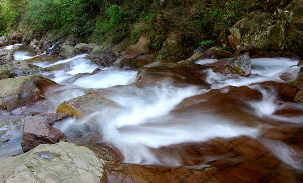 浙江仙霞国家森林公园