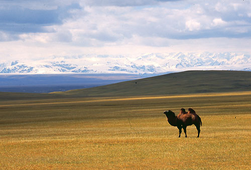  p>准噶尔盆地(英文junggar basin;"噶"为gá),位于中国 a target="