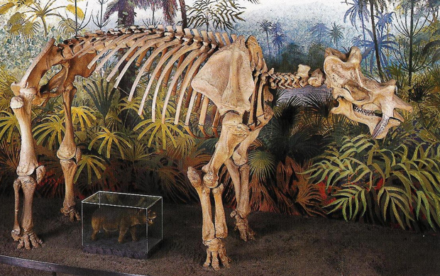  p>尤因它兽即恐角兽,尤因它兽是已知 a data-lemmaid="549102">恐龙