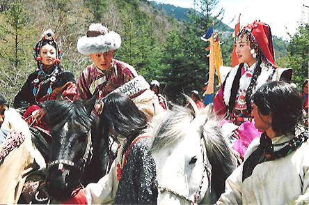 尘埃落定剧情介绍 全网资源