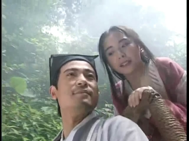 杨不悔