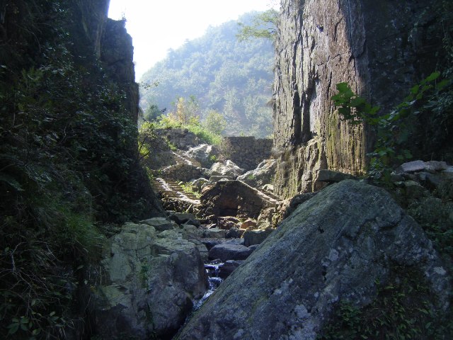 它是亚热带东北部边缘保存最好,林相最完整的唯一一片原始森林,内有
