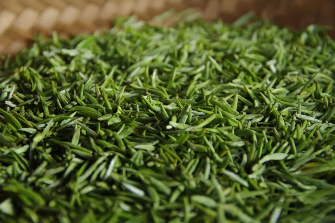  p>蒙山茶, a href="#" data-lemmaid="15626925">四川省 /a> a href=