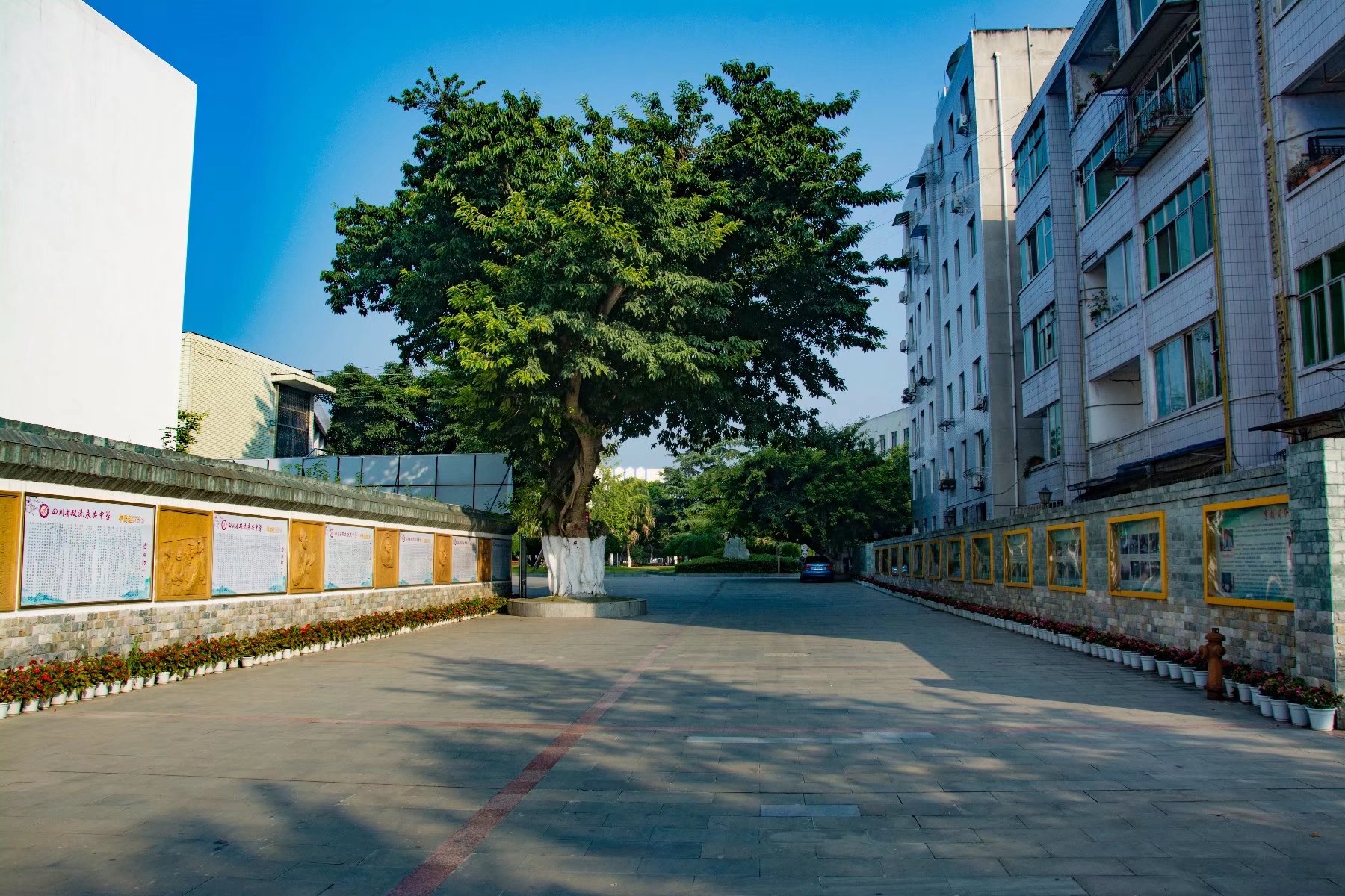 双流区永安中学