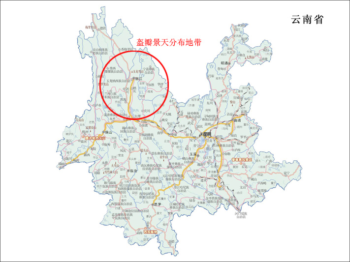 分布于中国大陆的云南等地,生长于海拔4,000米的地区,见于岩石上,目前