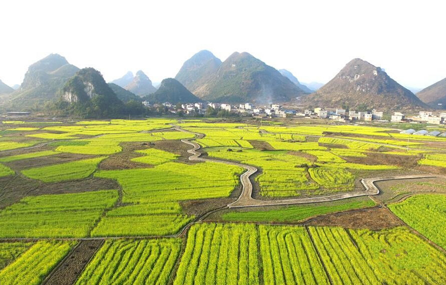  p>四把镇,广西壮族自治区河池市罗城仫佬族自治县下辖镇, span class