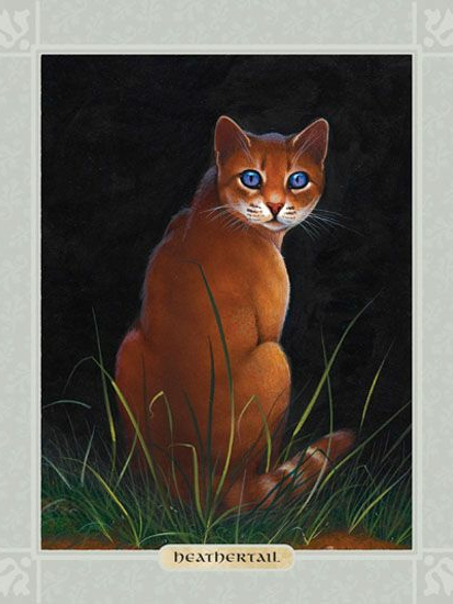 0v6">石楠尾,女,《 a target="_blank" href="/item/猫武士/4739018"