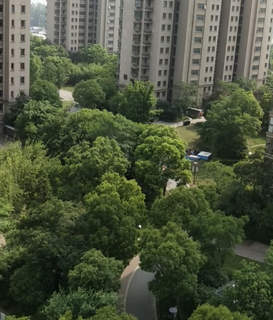 洲岛家园芳华苑位于南京市建邺江心洲,由无开发商建成,共计房屋79