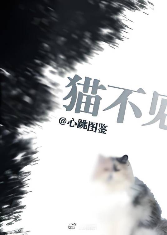 猫不见_百度百科
