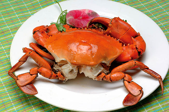 赤甲红海蟹