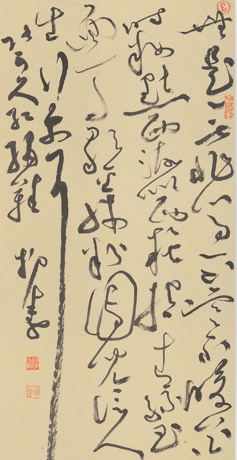 杨涛