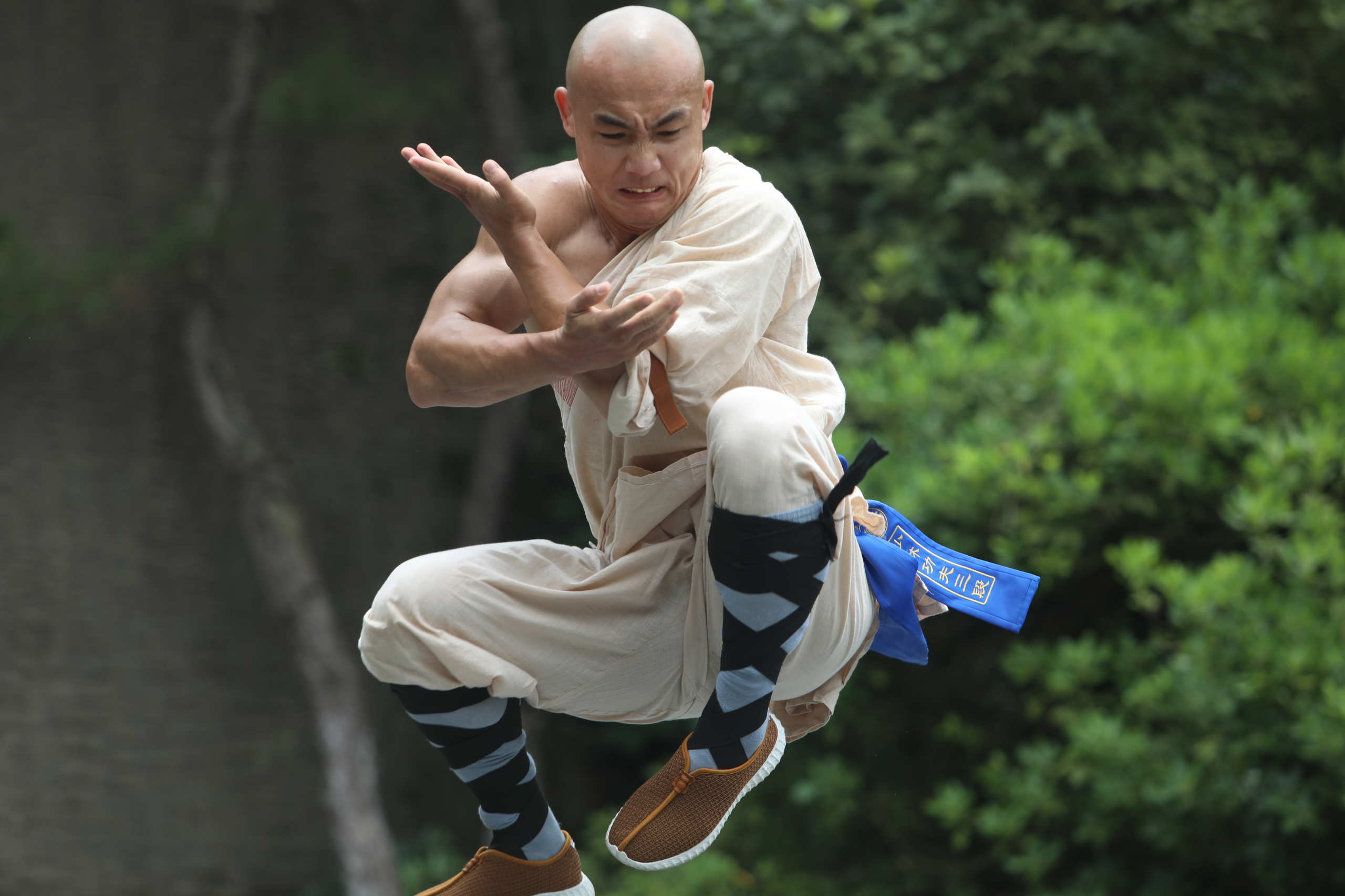 释延直(武僧一虎),法名延直,字开望,俗名陆
