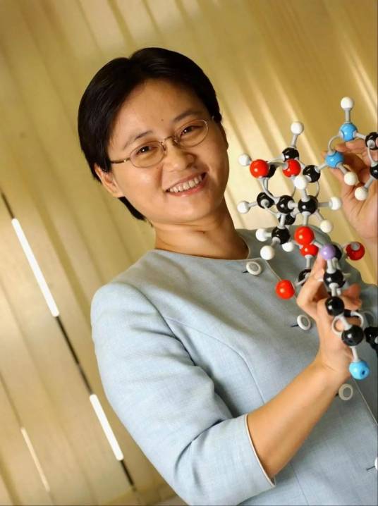 杨丹（西湖大学第一位女性讲席教授，有机合成化学家）_百度百科
