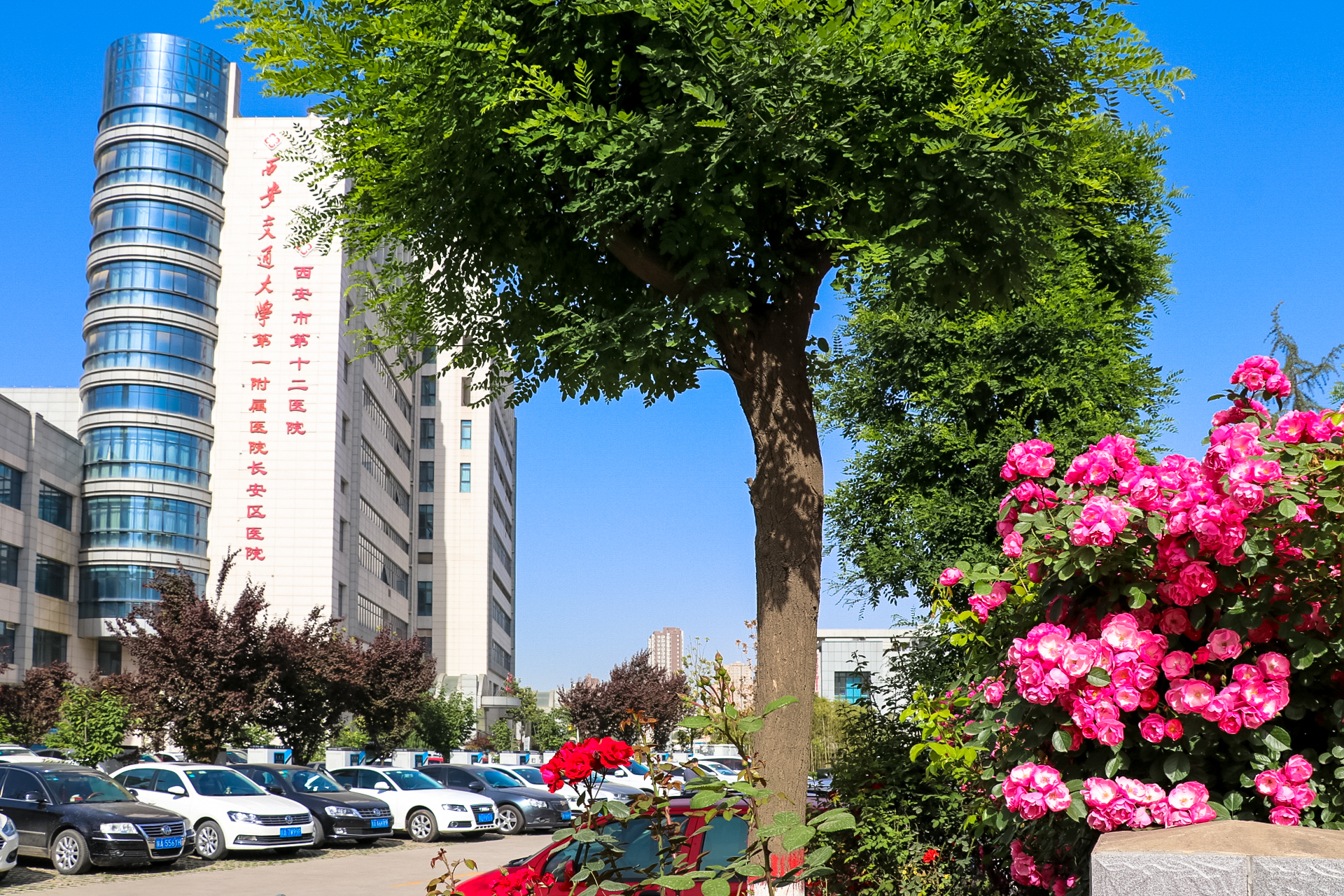 西安市长安区医院