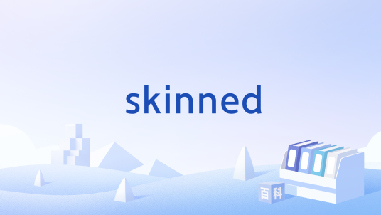 skinned（英语单词）_百度百科