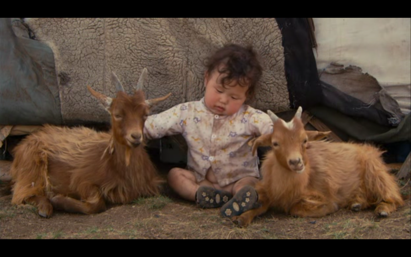 着苍蝇的非洲儿童,物质条件优渥的美日宝宝,和山羊抢洗澡水的蒙古孩子