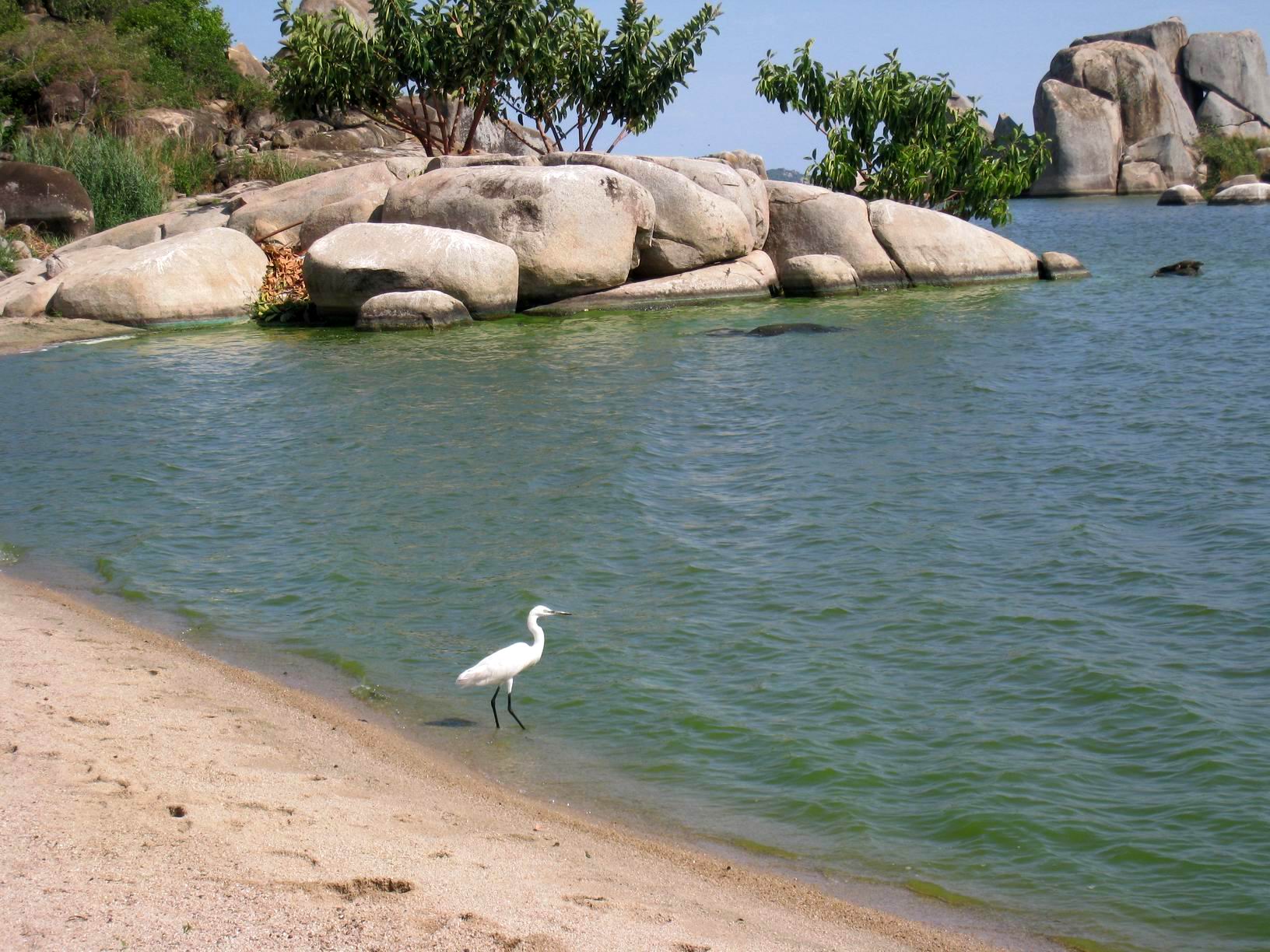  p>维多利亚湖(victorianyanza)位于 a href="#">东非高原 /a>,大部分