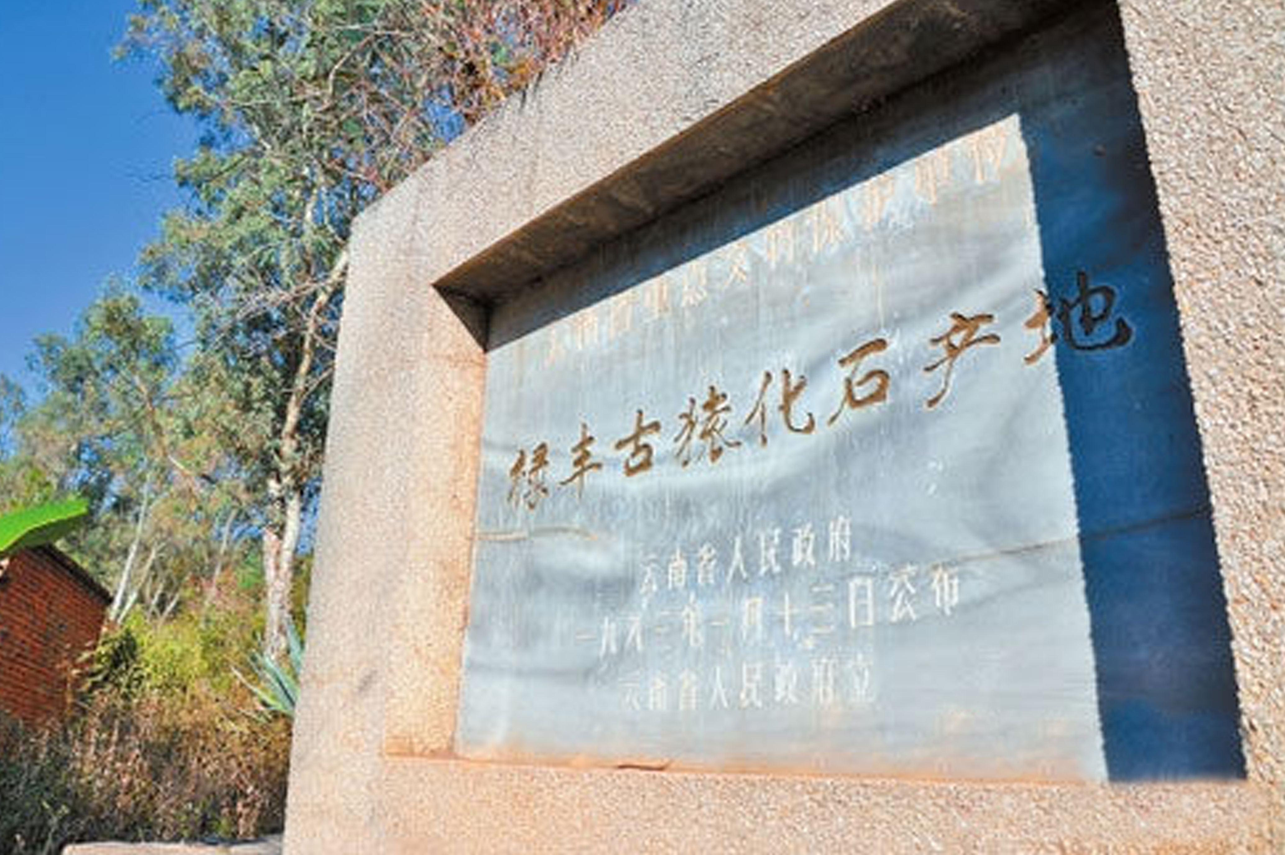  p>腊玛古猿化石地点,又名禄丰古猿化石产地,位于云南省楚雄彝族自治