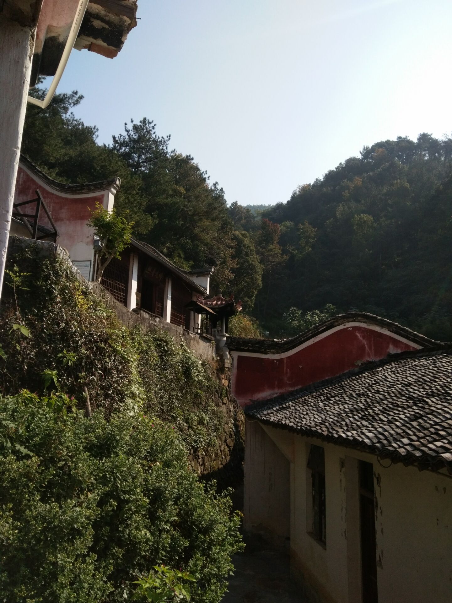  p>青山寺,位于浙江省诸暨市草塔镇青山水库东,亦名青山殿.