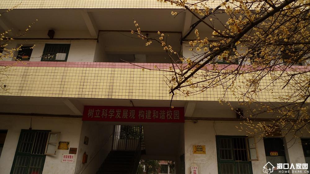 湖南省洞口县第一中学