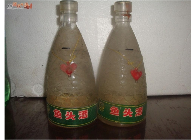 鱼头酒