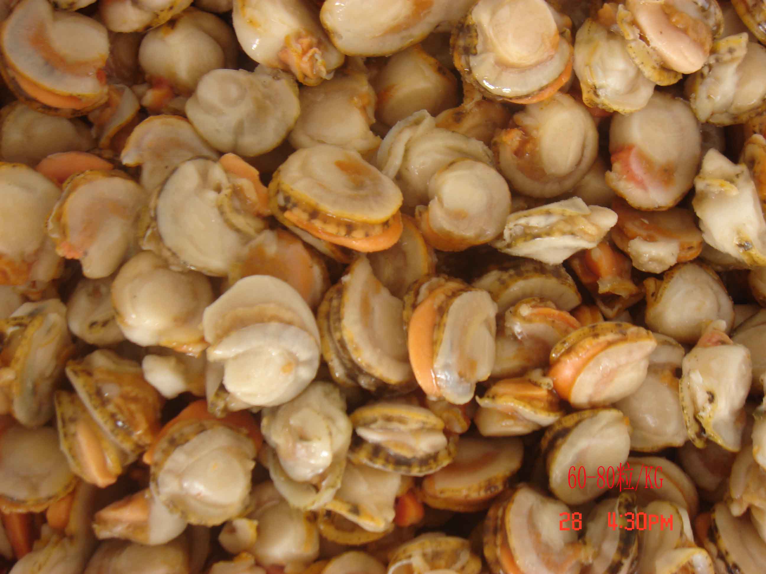  p>海蛤粉 ,拼音名haigefen.