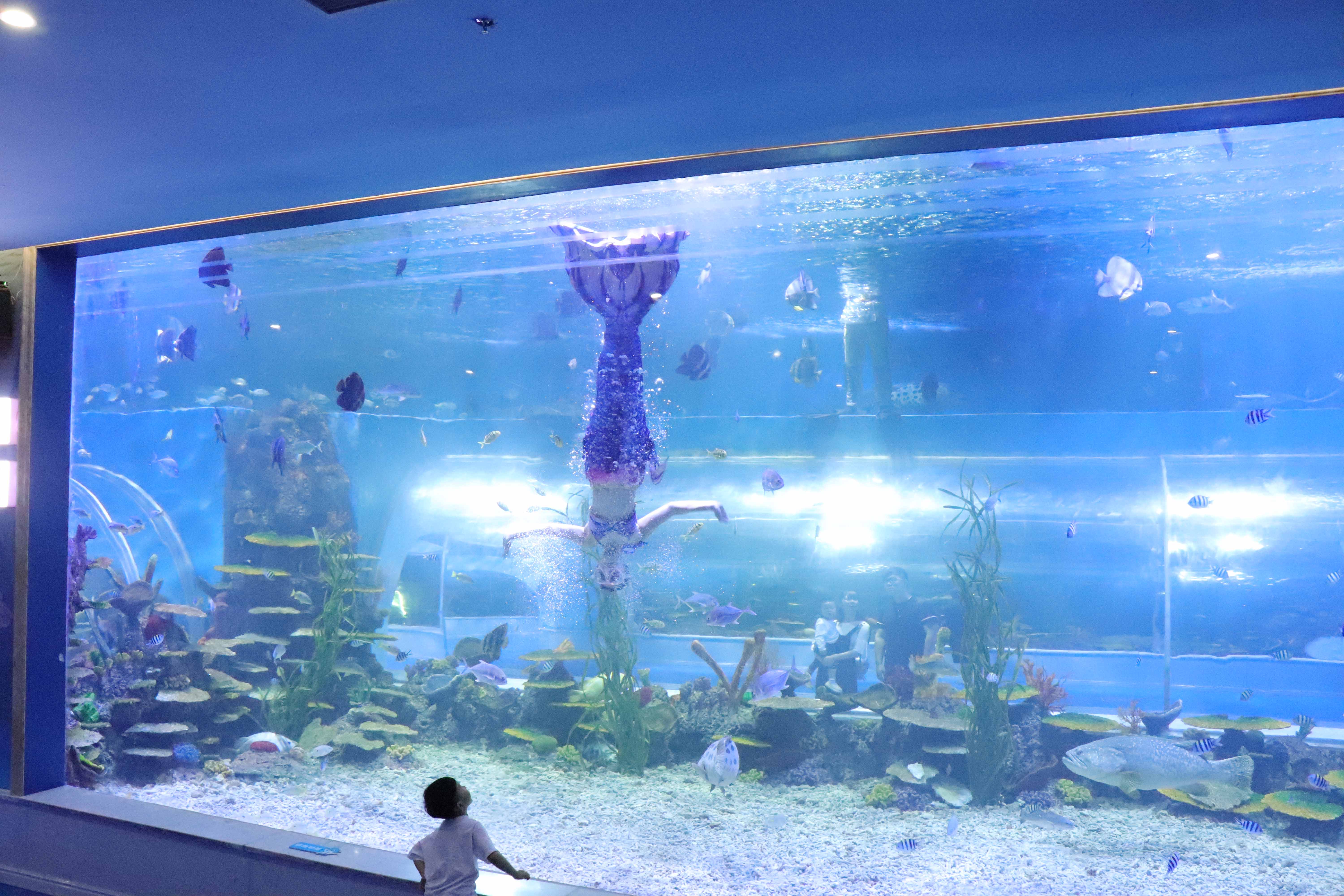 扬州极地海洋世界