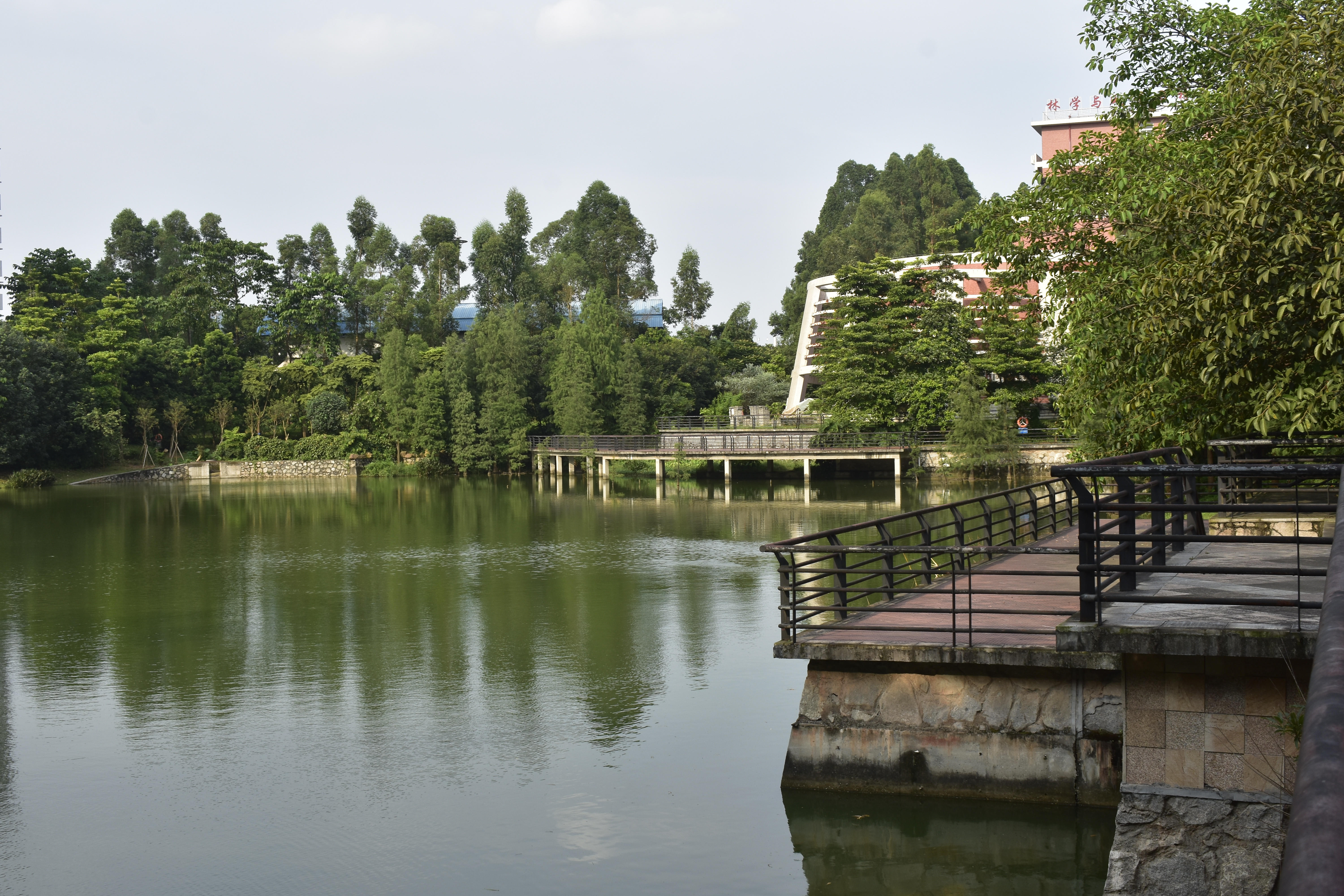 华南农业大学