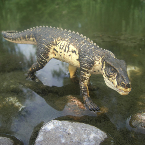  p>鳄龙,是一种史前大型爬行动物,属于 a href="