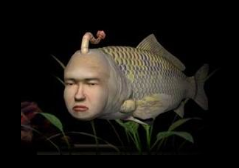 人面鱼
