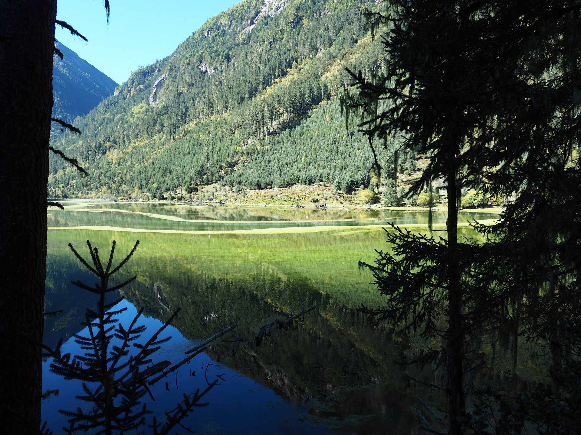  p>康定莲花湖位于四川省甘孜藏族自治州 a href="#" data-lemmaid="