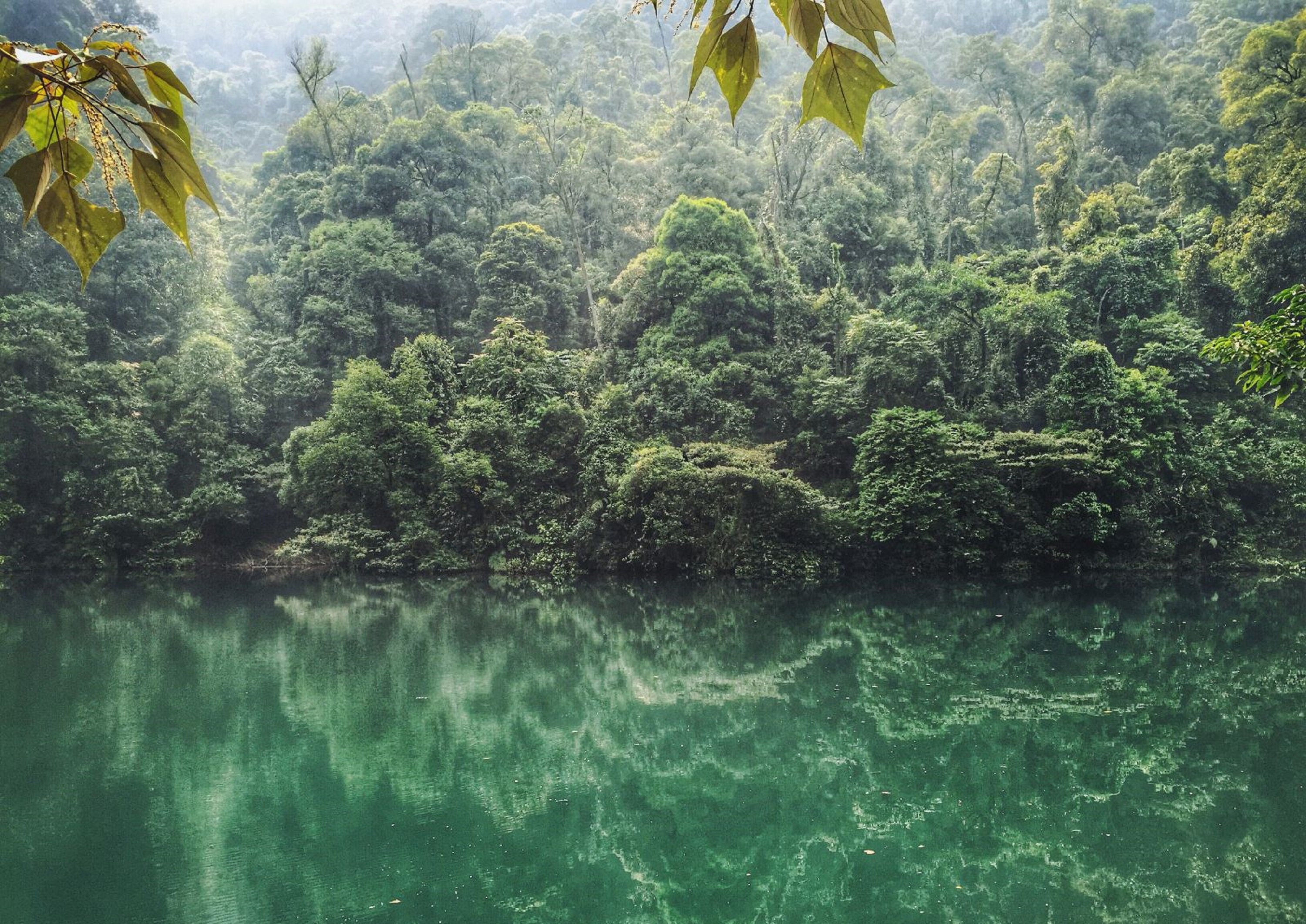 广东肇庆鼎湖山