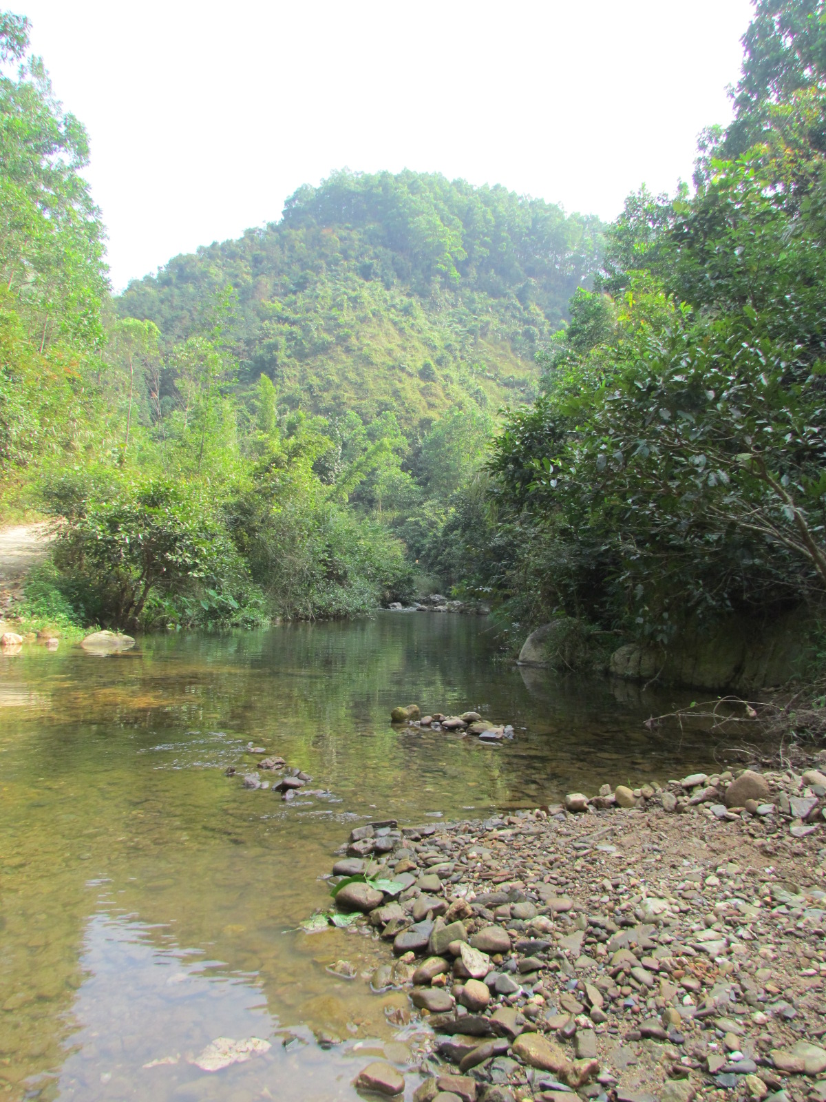 广东恩平七星坑省级自然保护区