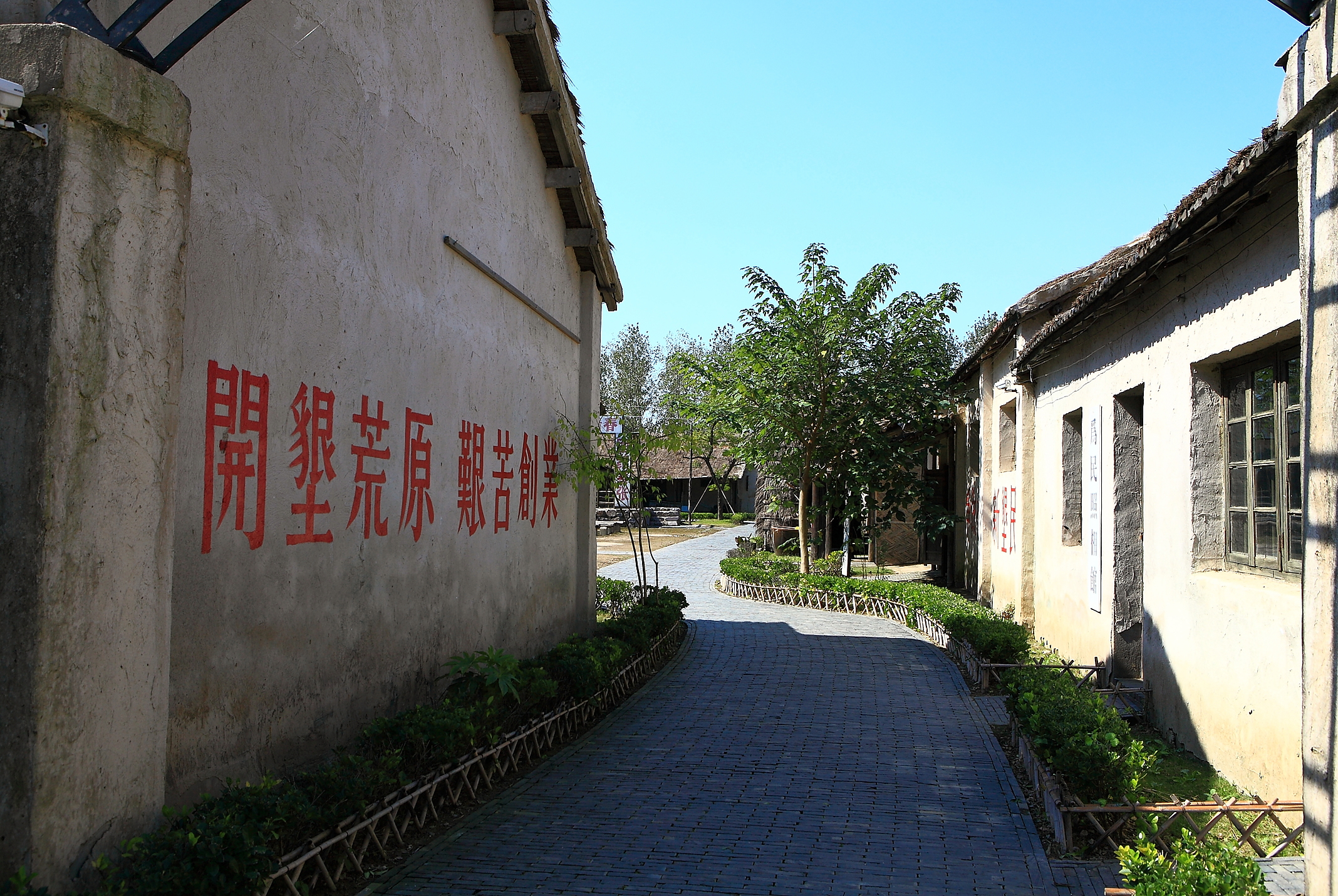 大丰知青农场
