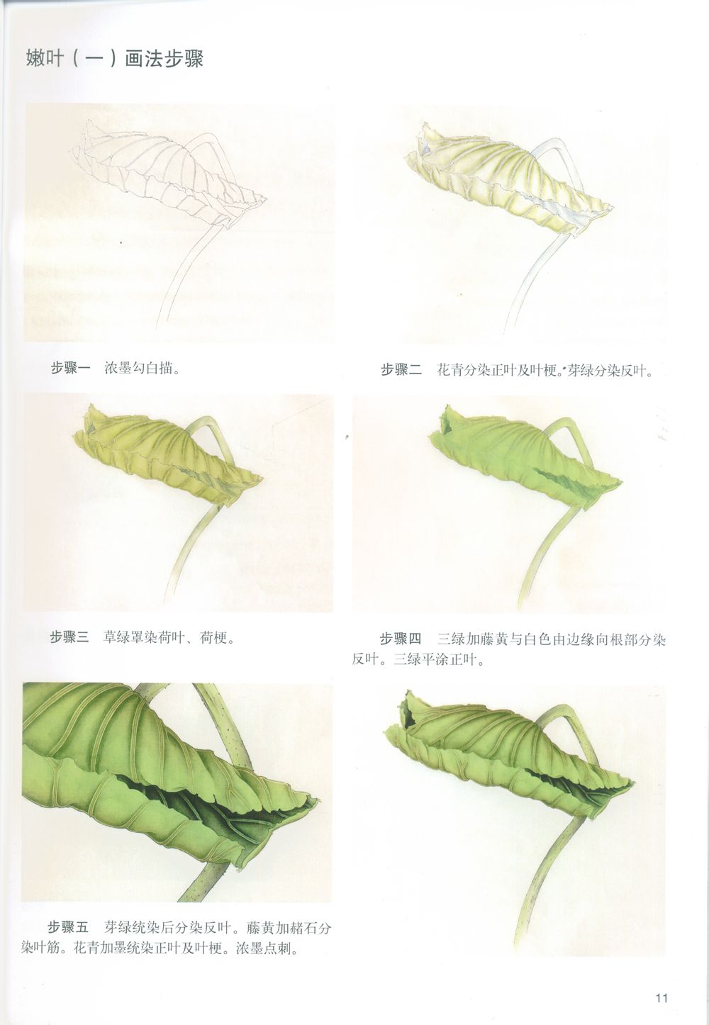 工笔荷花设色技法