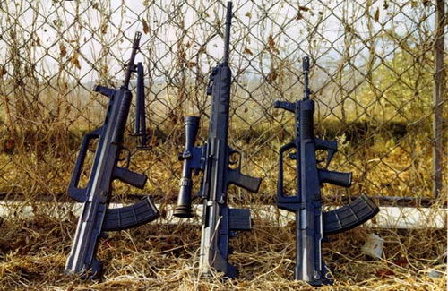 它与95式自动步枪构成班用枪族,95式枪族是中国陆军现役主力装备之一