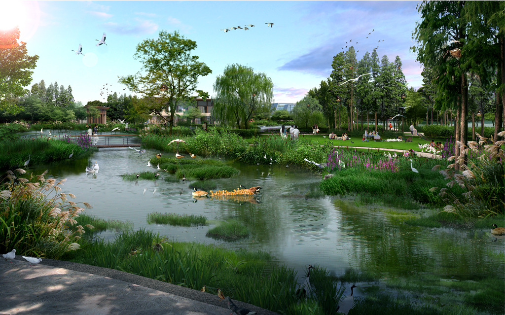 湿地景观[生态]分类