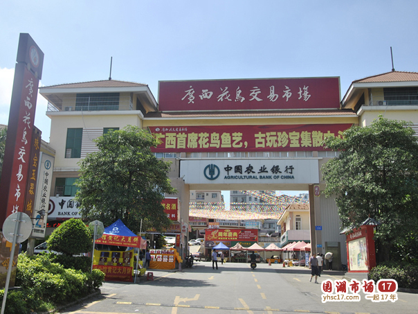 广西花鸟交易市场