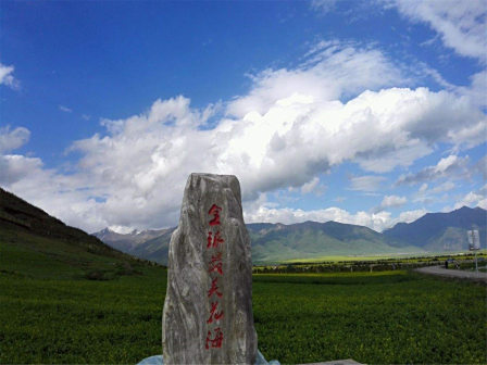 门源油菜花